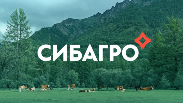 ГК «Молотов» приступила к проектированию производственного объекта для АО «Сибагро»